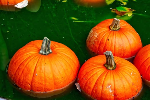 Pumpkin Water Fountain Floating Orange Autumn Fall Decoration Green Halloween