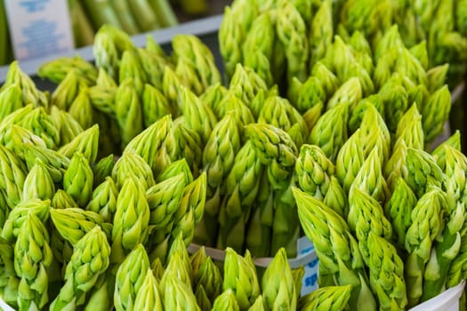 Asparagus Green Fresh Spear Bundle Closeup Texture