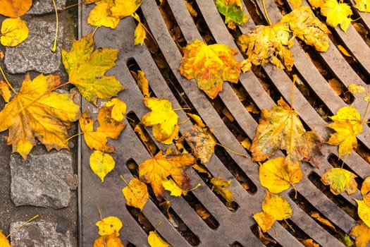 Autumn Leaves Lying on Asphalt Sidewalk Metal Sewage Aeration Cover Urban Street