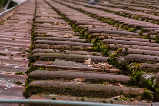 Clay Roof Shingles European German Moss Dirty Old Shed Top Closeup