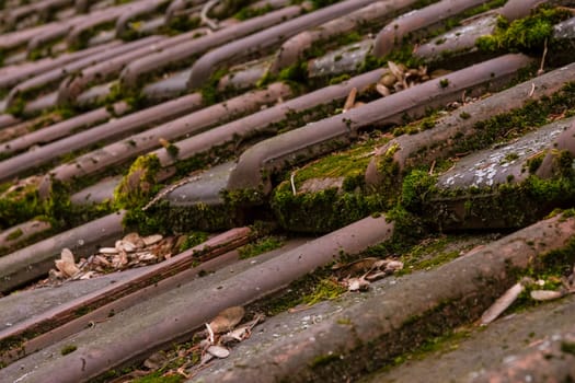 Clay Roof Shingles European German Moss Dirty Old Shed Top Closeup