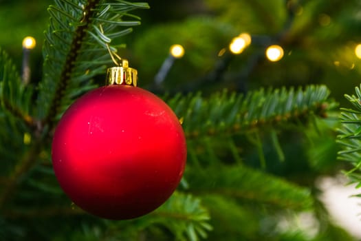 Christmas Tree Ball Ornament Festive Holiday Decoration Red Closeup Depth of Field Bokeh