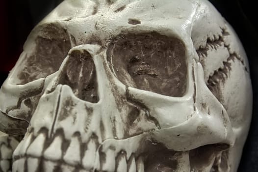 Halloween Skull Skeleton Head Decoration Closeup Black Background Isolated