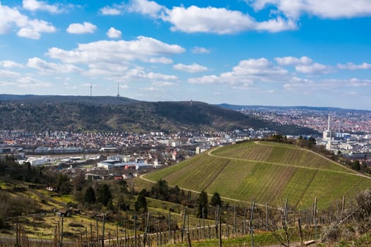 Stuttgart Landscape Germany TV Tower Vineyards Beautiful Blue Skies European Travel Destination Vacation Green Grass Rolling Hills