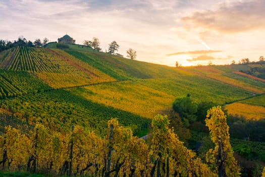 Stuttgart Grabkapelle Morning Sunrise Field Vineyard Winery Landscape European German Destination Beautiful