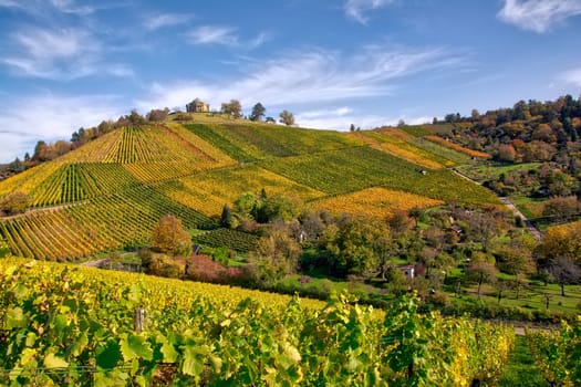 Stuttgart Germany Grabkapelle Vineyards Autumn Fall Season Beautiful Landscape Farming Agriculture Wine