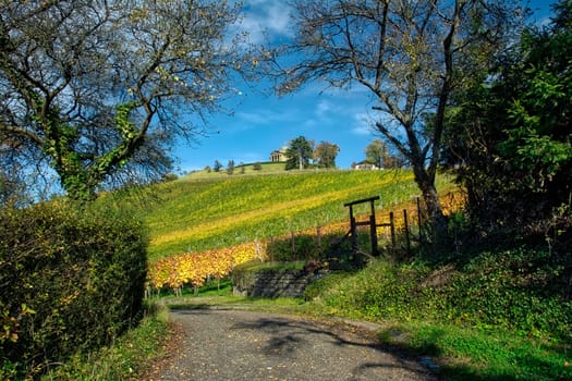 Stuttgart Germany Grabkapelle Vineyards Autumn Fall Season Beautiful Landscape Farming Agriculture Wine