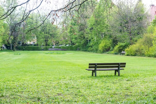 Cool Temperature Park Outdoors Overcast Weather Cold Cloudy Day Green Grass