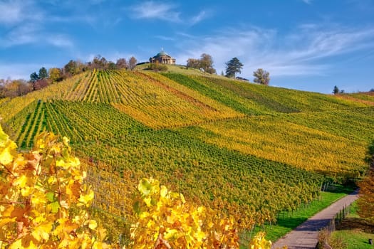 Stuttgart Germany Grabkapelle Vineyards Autumn Fall Season Beautiful Landscape Farming Agriculture Wine