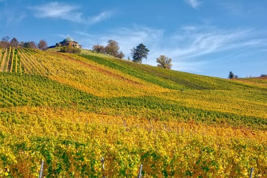 Stuttgart Germany Grabkapelle Vineyards Autumn Fall Season Beautiful Landscape Farming Agriculture Wine