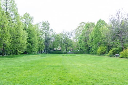 Cool Temperature Park Outdoors Overcast Weather Cold Cloudy Day Green Grass