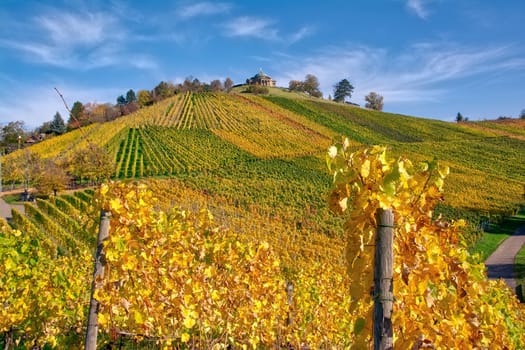 Stuttgart Germany Grabkapelle Vineyards Autumn Fall Season Beautiful Landscape Farming Agriculture Wine