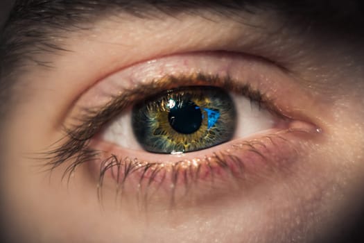 Eyeball Closeup Iris Muscles Pattern Eyebrow Human Physiology Colorful Identity