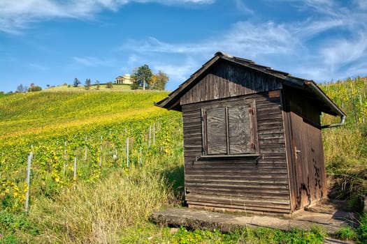 Stuttgart Germany Grabkapelle Vineyards Autumn Fall Season Beautiful Landscape Farming Agriculture Wine