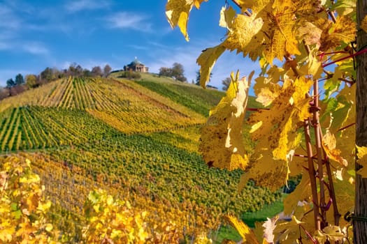 Stuttgart Germany Grabkapelle Vineyards Autumn Fall Season Beautiful Landscape Farming Agriculture Wine