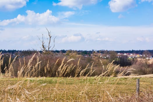 Autumn Quiet Peaceful relaxed Landscape Dramatic Clouds Blue Skies Contrast European Countryside