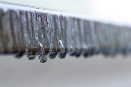 Single Water Droplet Dripping from Edge with Depth of Field from Others