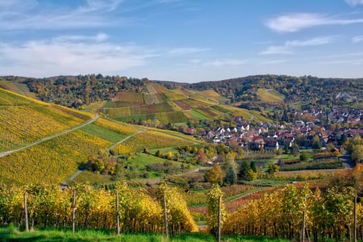 Outdoors Vineyard Landscape Fall Season Autumn Orange Yellow Green Farmland Agriculture European Wine