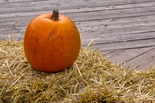 Single Pumpkin on Haystack Farm Decoration Autumn Fall Seasonal Orange Fresh Halloween