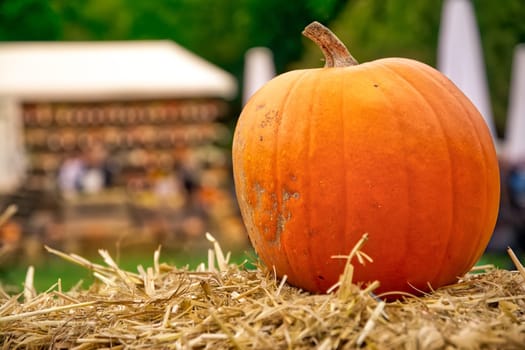 Single Pumpkin on Haystack Farm Decoration Autumn Fall Seasonal Orange Fresh Halloween