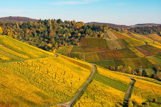 Outdoors Vineyard Landscape Fall Season Autumn Orange Yellow Green Farmland Agriculture European Wine