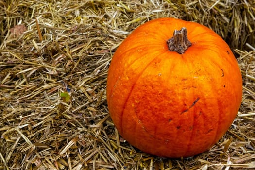Single Pumpkin on Haystack Farm Decoration Autumn Fall Seasonal Orange Fresh Halloween