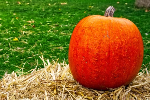 Single Pumpkin on Haystack Farm Decoration Autumn Fall Seasonal Orange Fresh Halloween