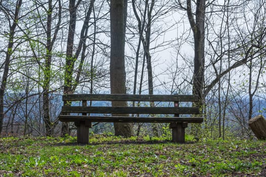 Park Bench Wooden Beautiful Landscape Sit Down Grass Nature Welcoming Outdoors City Recreation Ground