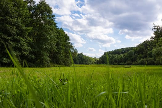 Peaceful Green Forest Field Landscape Clouds Blue Sky Expanse