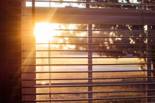Sunlight Through the Window