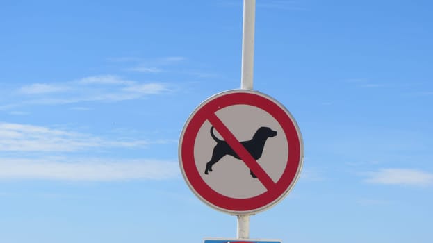 Dogs Not Allowed Forbidden Red Sign Beach Outdoors