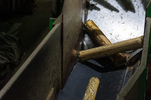 Debarking Machine Feed Logs Paper Mill Indoors Entrance Machinery Industrial Wood Processing