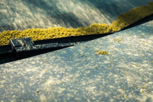 A Car was Covered with Dust