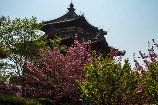Ancient Chinese Temple
