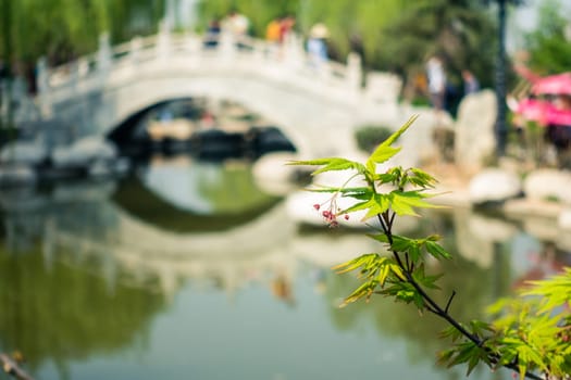 Clean River and Traditional Bridge in Regions South of the Yangtze River China