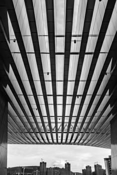 Nanning City Library Architecture Sunset B/W