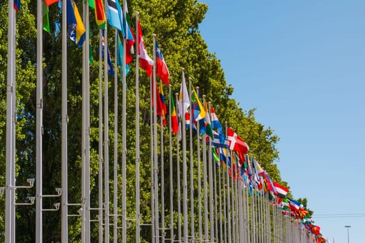 Outdoors Park Area International Flag DIsplay Blue Sky Background