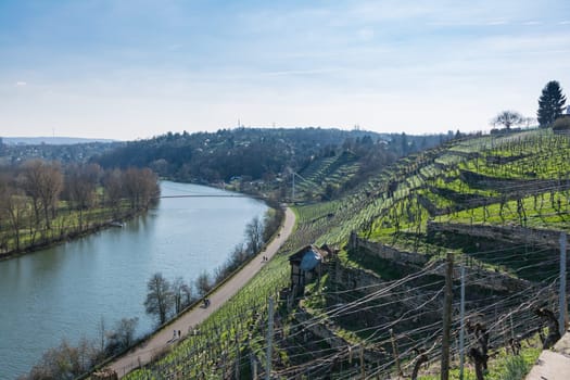 European River Max Eyth See Stuttgart Vineyards Sunny Landscape Beautiful Idyllic Blue Skies Clear Weather Green Slopes Mountains Water