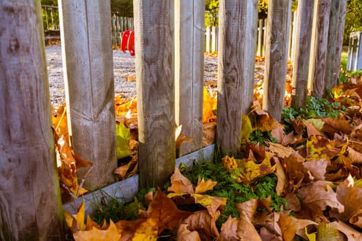 Wooden Gate Playground Covered in Leaves Orange Red Yellow Autumn Fall Grass