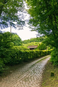Cobblestone Path in Forest with Hut Trees Clear Skies Opening Inviting Nature Park Open