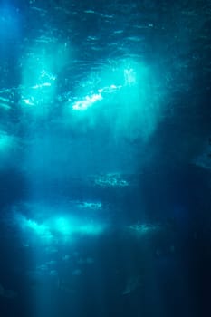 Underwater Rays Through Water From Below Sunshine Through Ocean