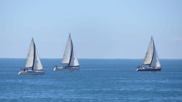 Three Sailboats on Water Ocean Landscape Peaceful Vacation