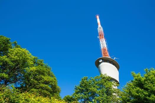TV Tower on Blue Sky Green Trees Sunny Summer Wireless Communication Technology Engineering Architecture
