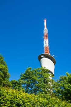 TV Tower on Blue Sky Green Trees Sunny Summer Wireless Communication Technology Engineering Architecture