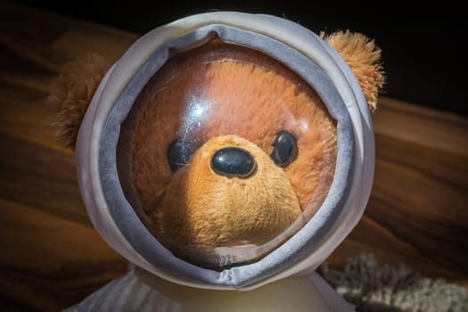 Teddy Bear Astronaut Real Face Object Children Toy White Space Suit