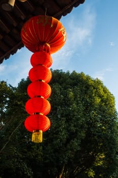 Daytime Chinese Lantern Hanging from Temple Roof Tree Background