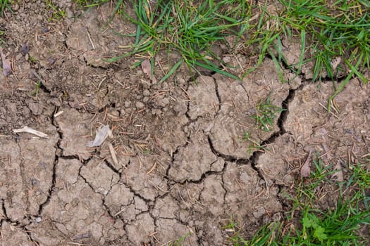 Cracked Soil Grass Texture