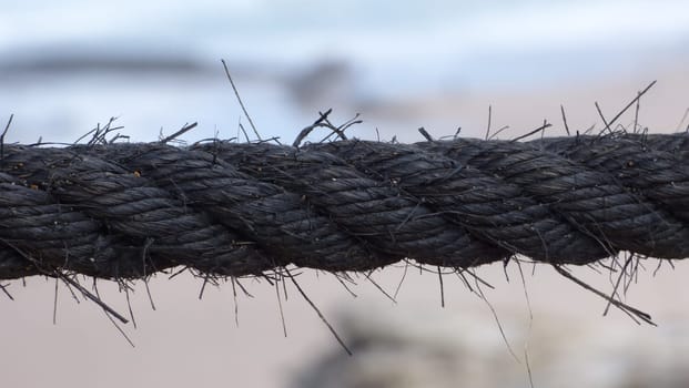 Rough Thick Rope Railing Beach Tropical Environment Wooden Post Ocean