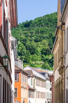 European Alley Green Trees Hill Forest Village Cozy Beautiful