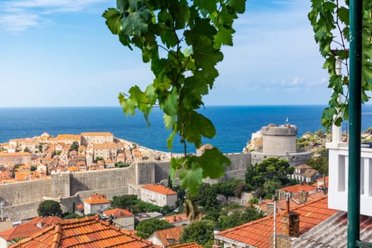 Famous Orange Rooftops of Dubrovnik Croatia Cityscape Aerial View Walking Along Fortress Walls